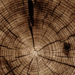 Colorful Standard Classic Organic Hoodie - Cedar Brown -Fashion Menswear Store ClassicOrganicHood CedarBrown03 c3b4004d 44fb 43ba 8588 cb92a41305a7