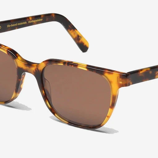 Colorful Standard Sunglasses 14 - Classic Havana/Brown 4 Colorful Standard Sunglasses 14 - Classic Havana/Brown - Image 2